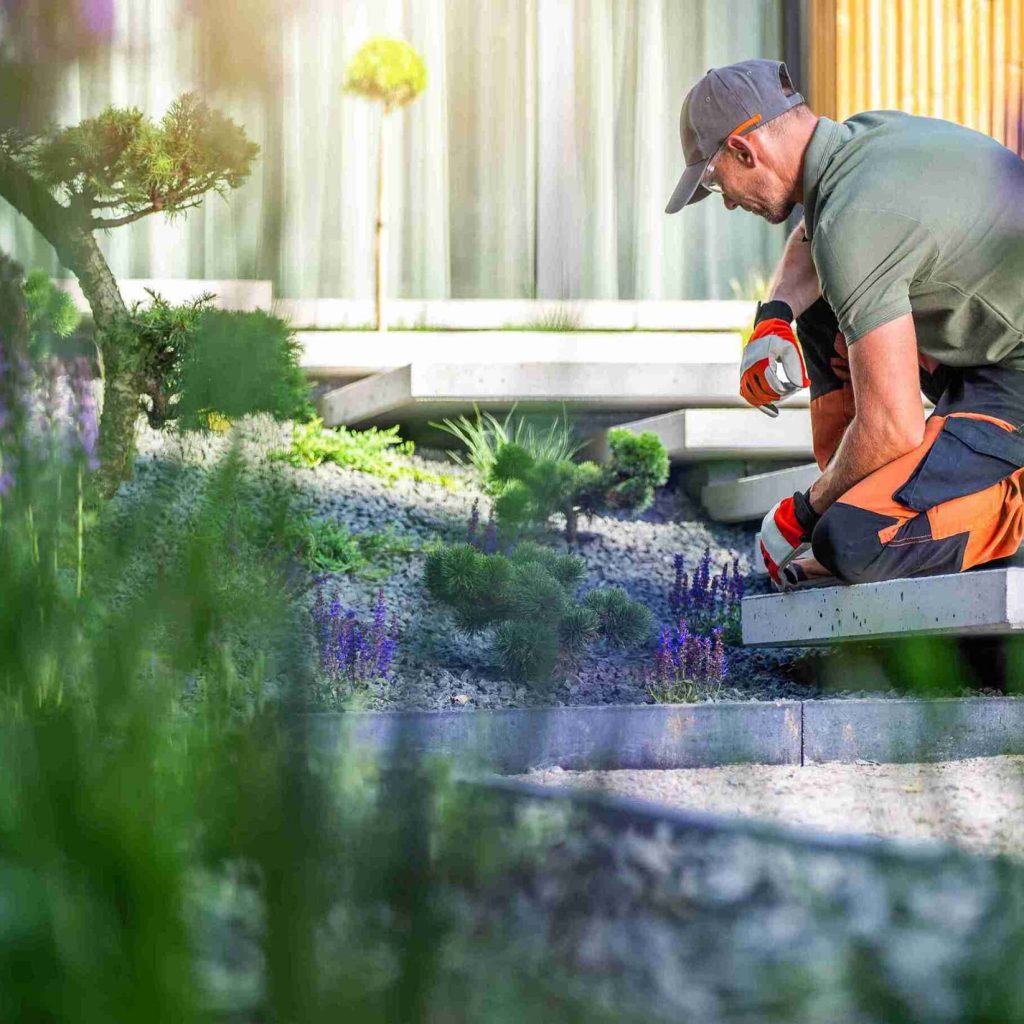 gardener-cultivating-lavender-modern-landscape-daytime_11zon