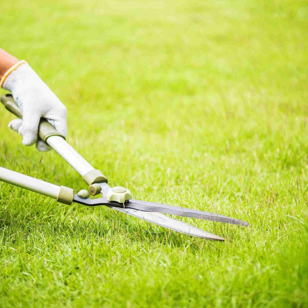 hands-holding-gardening-scissors-green-grass-gardening-concept_11zon